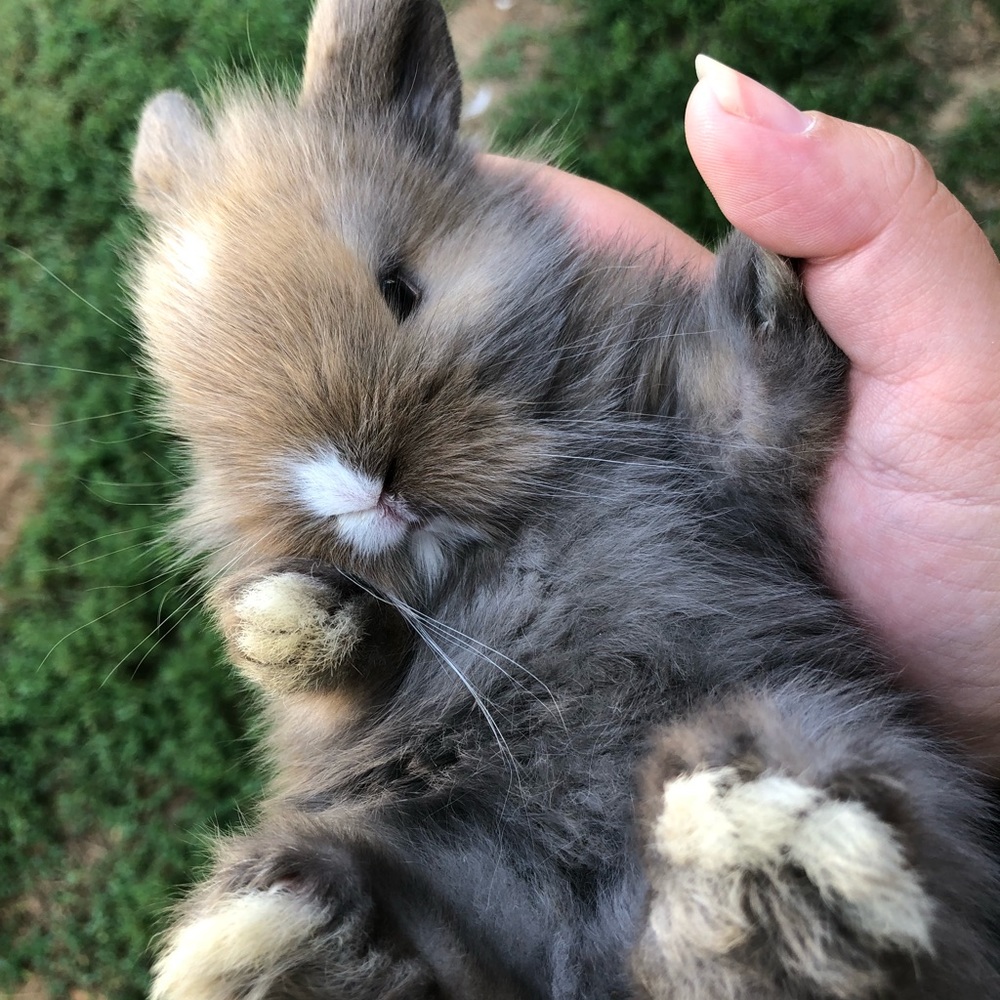 Meet your Posher, Cassidy